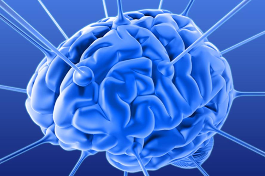 Brain graphic (blue design)